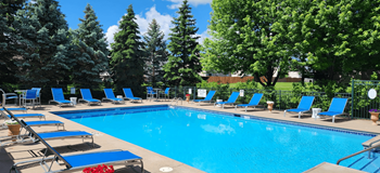A large swimming pool surrounded by blue lounge chairs and trees.